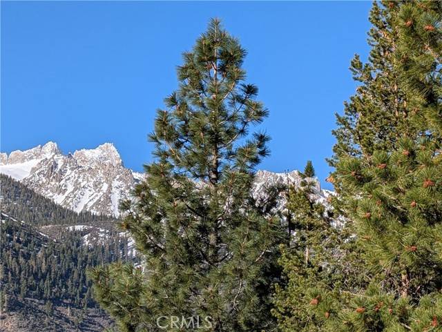 Bridgeport, CA 93517,31 Matterhorn DR