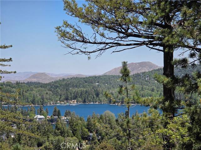 Lake Arrowhead, CA 92352,551 Raccoon CT