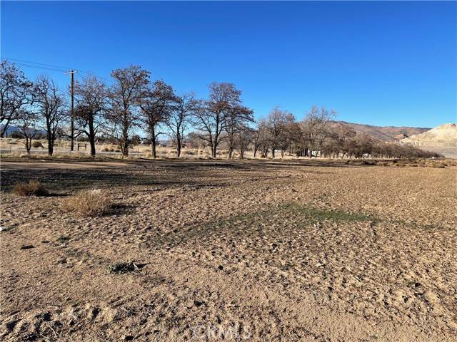 Tehachapi, CA 93561,20028 Tehachapi Willow Springs Rd