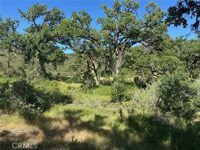 Lakeport, CA 95453,7300 Ridge RD