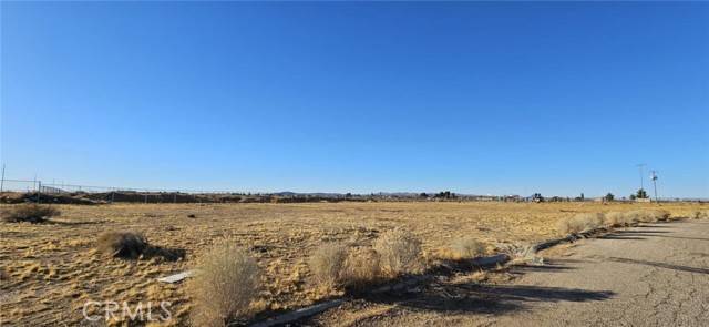 Adelanto, CA 92301,800 Mimosa RD