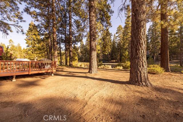 Big Bear Lake, CA 92315,43387 Sheephorn RD