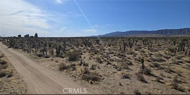 Llano, CA 93544,22000 Avenue X