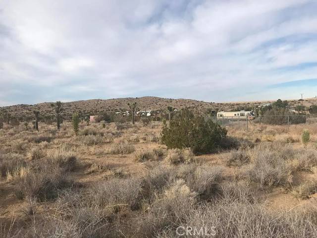 Pearblossom, CA 93553,0 Fort Tejon RD