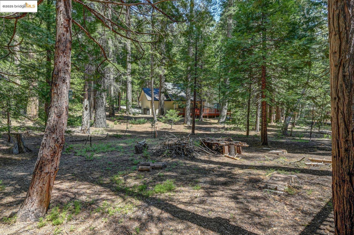 Dorrington, CA 95223,3292 El Camino Bootstrap 1