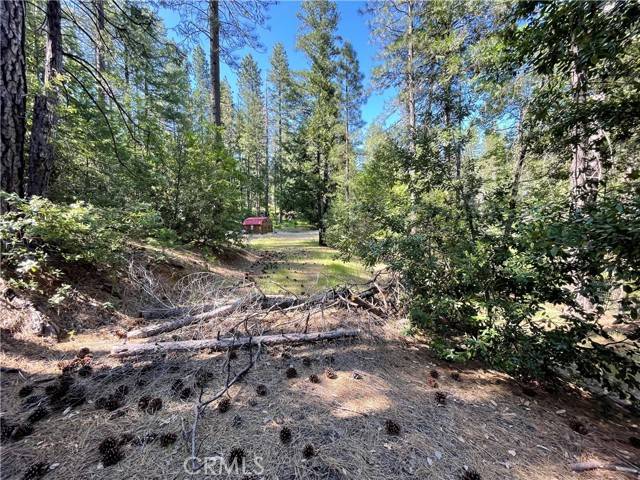 Magalia, CA 95954,6715 Hupp Coutolenc RD