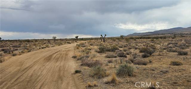 Rosamond, CA 93505,0 116th ST