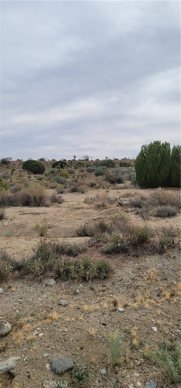 Llano, CA 93544,0 Avenue Y