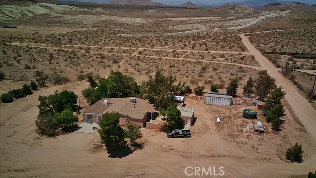 Rosamond, CA 93560,3840 Lupine