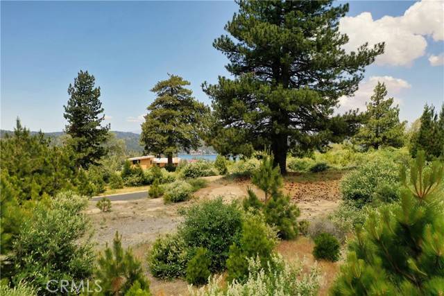 Lake Arrowhead, CA 92352,136 Mill Pond RD