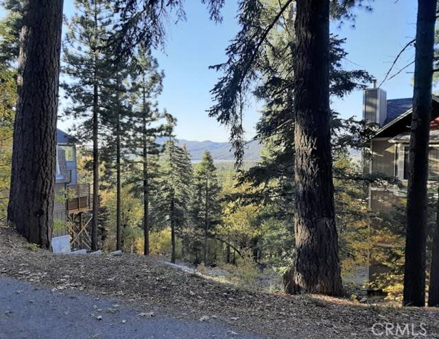 Big Bear Lake, CA 92315,1223 Pigeon