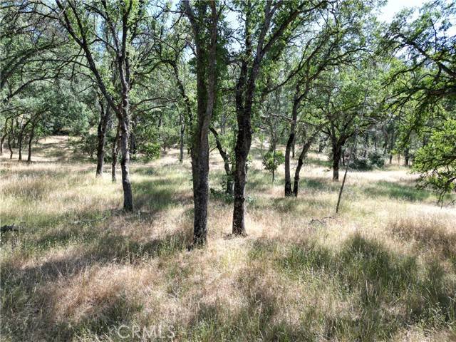 Corning, CA 96021,16625 Rancho Tehama RD