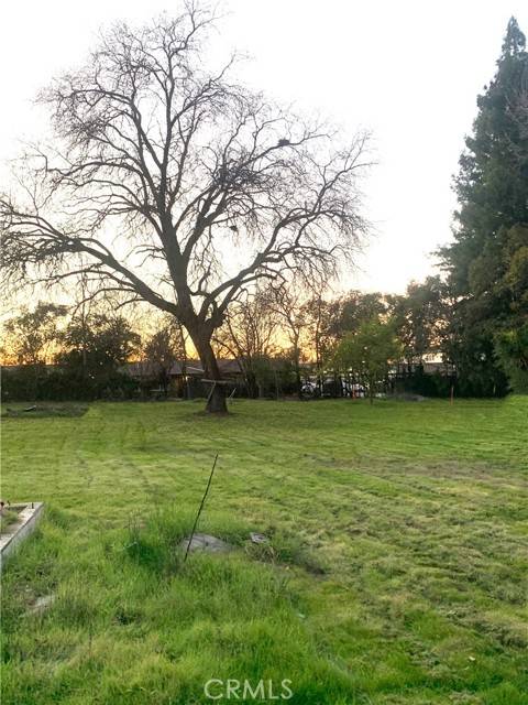 Carmichael, CA 95608,3252 Panama AVE