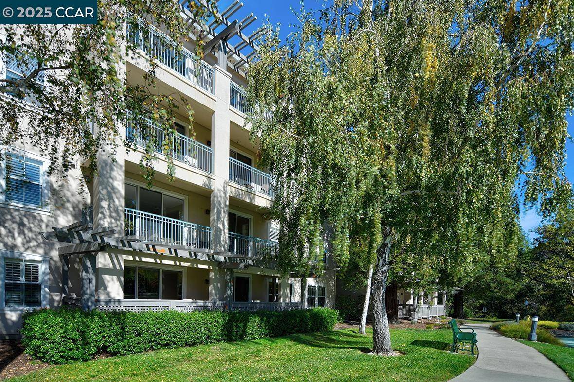 Walnut Creek, CA 94595,1840 Tice Creek Dr 2228