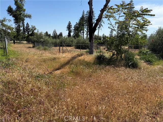 Paradise, CA 95969,1438 Toni DR