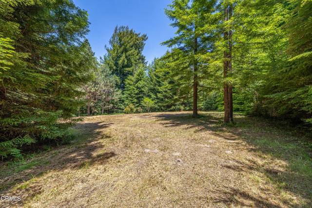 Fort Bragg, CA 95437,15620 Shane DR