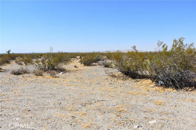 Pearblossom, CA 93553,13600 E Avenue U4