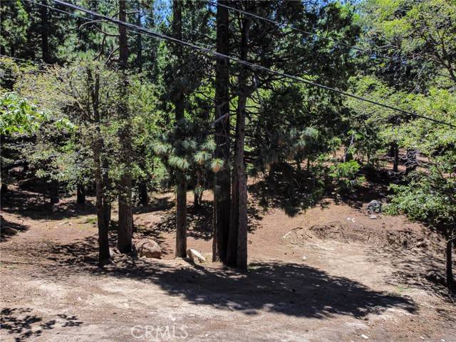 Lake Arrowhead, CA 92352,0 Meadowbrook RD