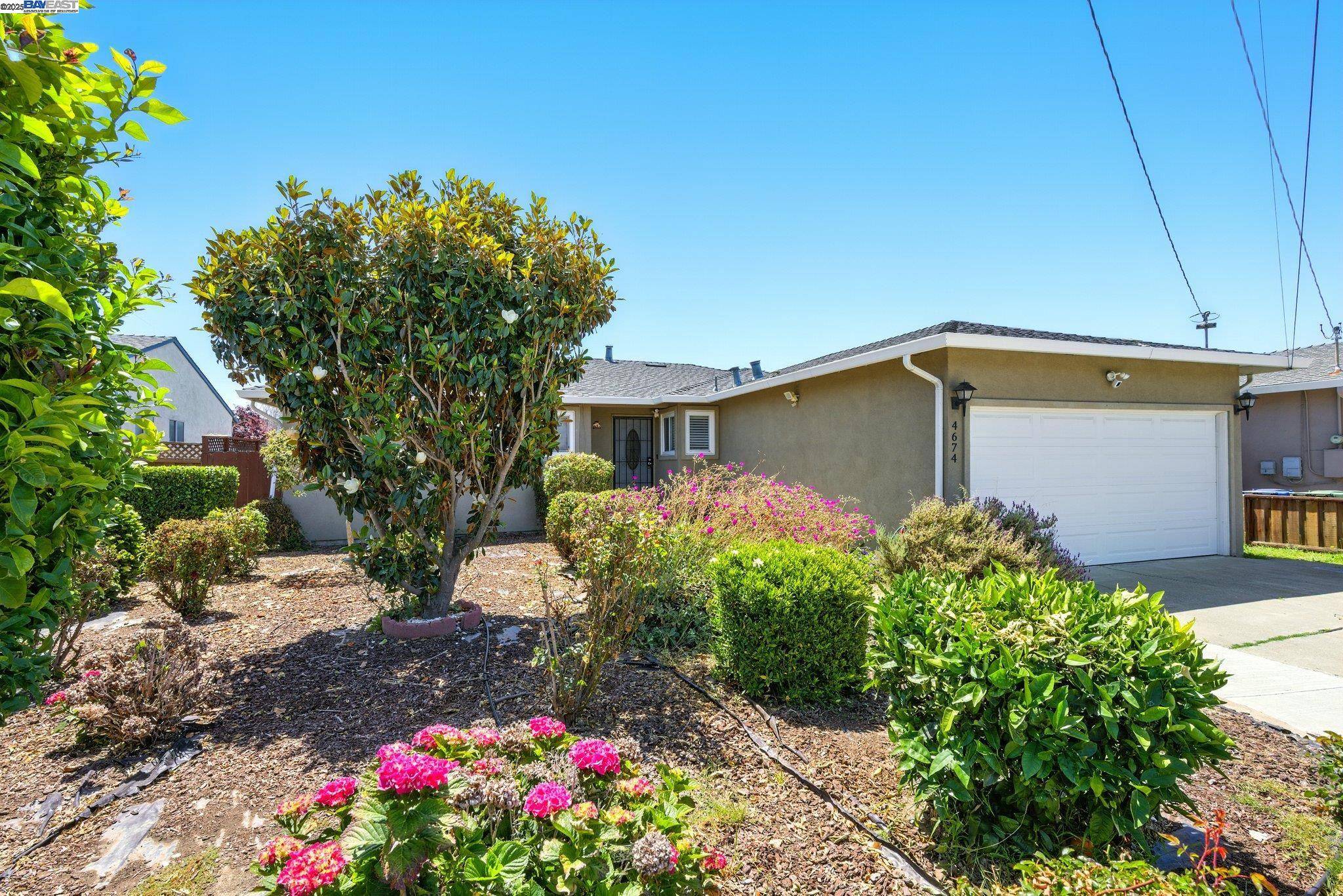 Fremont, CA 94536,4674 Cambio Ct