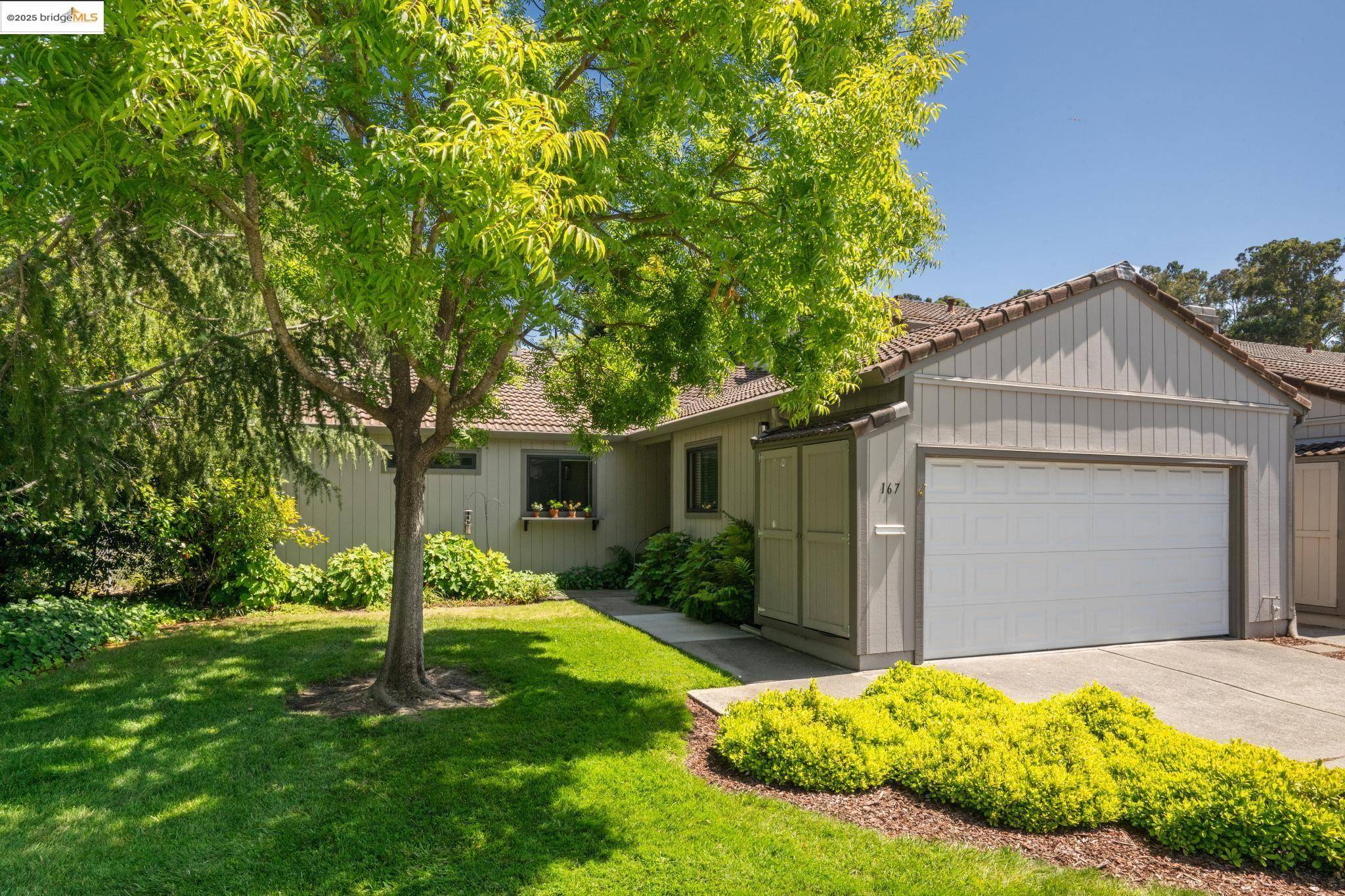 Hercules, CA 94547-1423,167 Wadi RUN