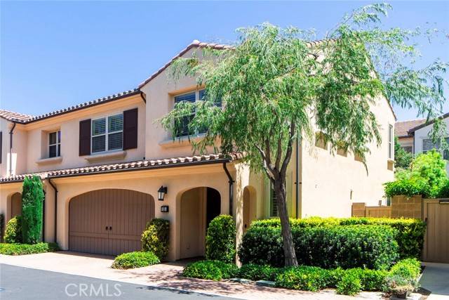 Irvine, CA 92618,33 Bromeliad