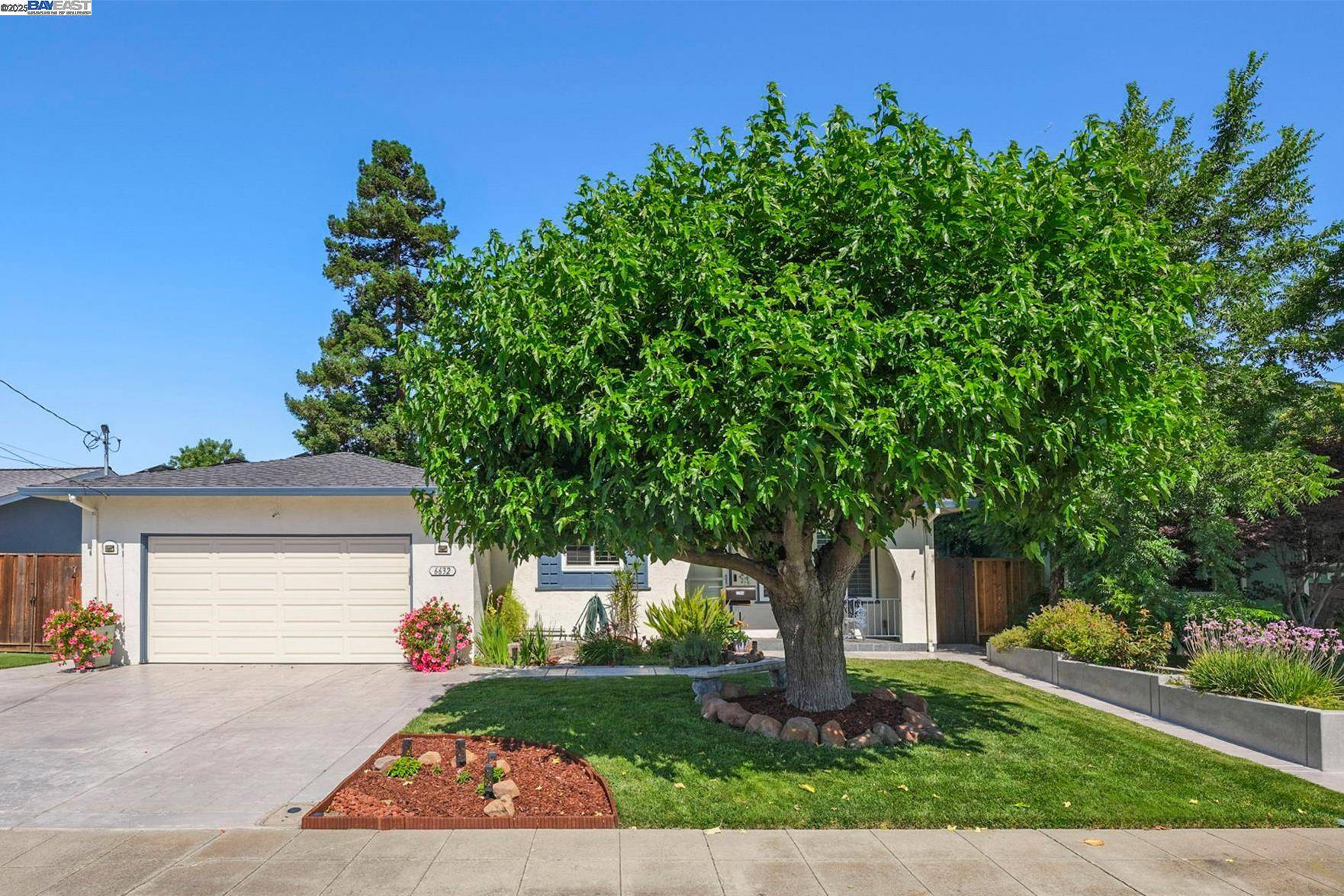 Dublin, CA 94568,6632 Spruce Ln