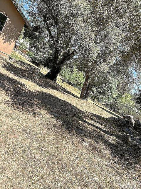 Pine Valley, CA 91962,29012 Oak LN