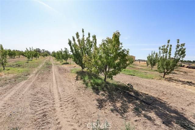 Chowchilla, CA 93610,23652 Road 18 3/4