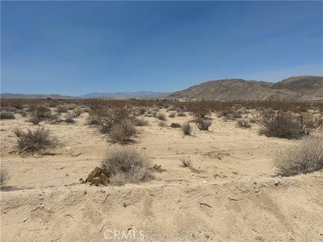 Twentynine Palms, CA 92277,0 Mantonya RD