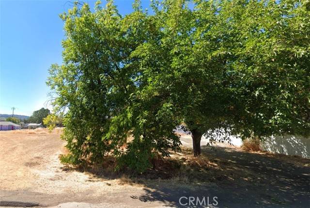 Clearlake, CA 95422,3460 Emerson ST
