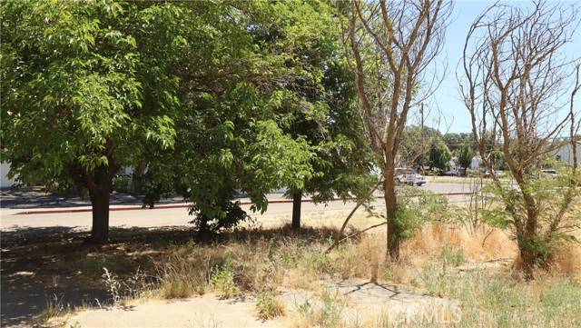 Clearlake, CA 95422,3460 Emerson ST