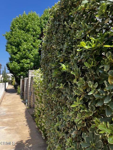 Glendale, CA 91207,1122 Campbell ST 3