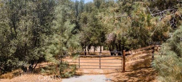Keene, CA 93531,28060 Carlyle Springs RD
