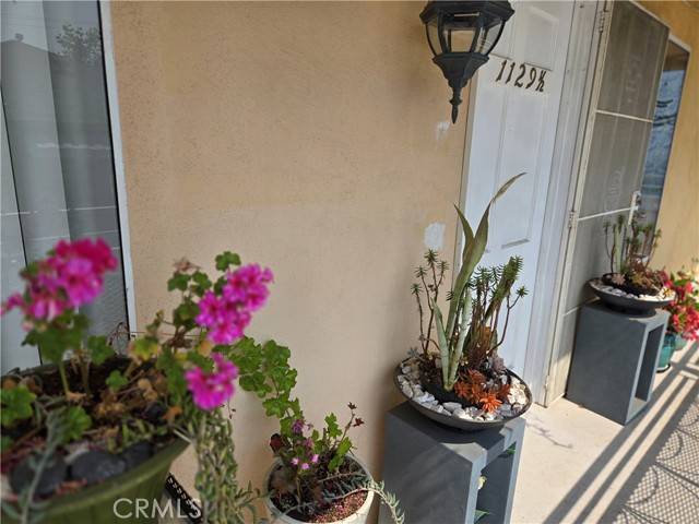 West Hollywood, CA 90069,1129 1/2 N Clark ST 1129 1/2