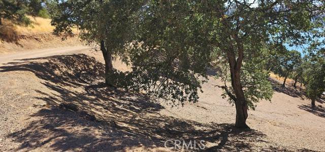 Clearlake Oaks, CA 95423,10981 Pingree RD
