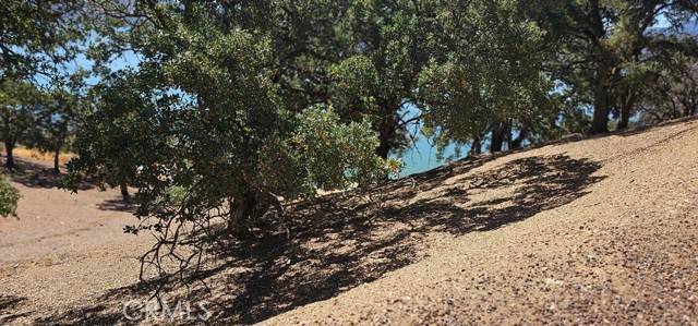 Clearlake Oaks, CA 95423,10981 Pingree RD