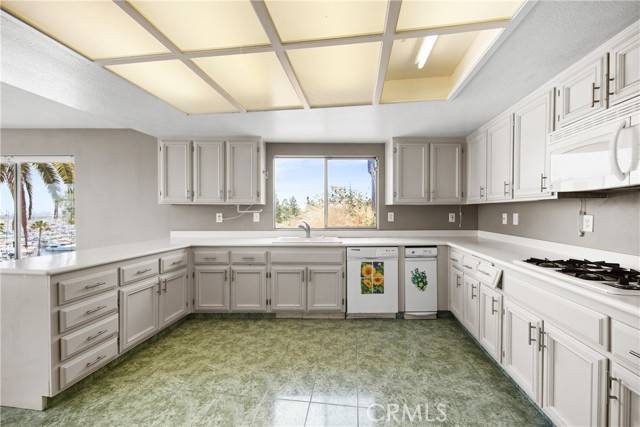 San Pedro, CA 90731,2222 S Mesa ST 8