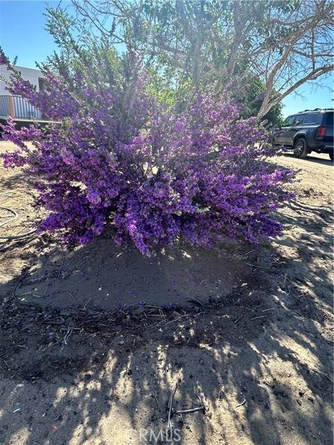 Phelan, CA 92371,13373 Campanula RD