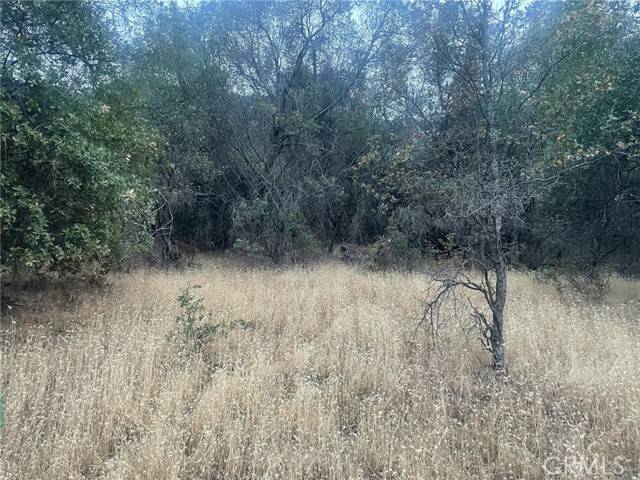 Ahwahnee, CA 93601,43020 Apache Ranch RD