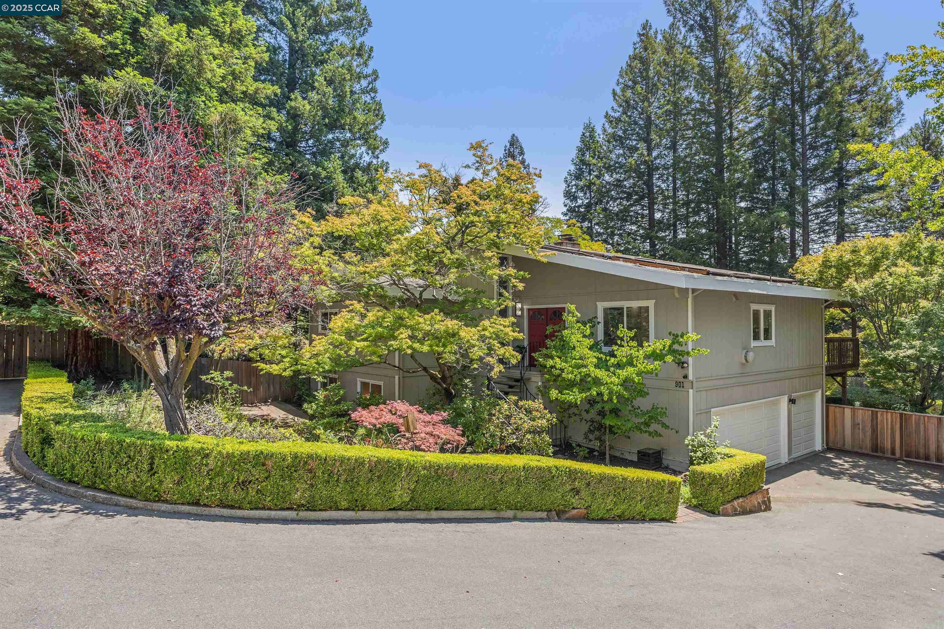 Lafayette, CA 94549,901 Carol Ln