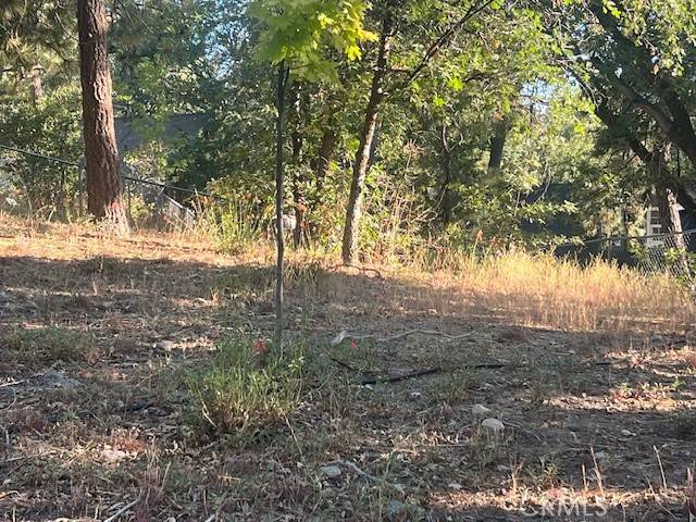 Arrowbear, CA 92382,0 Hardy