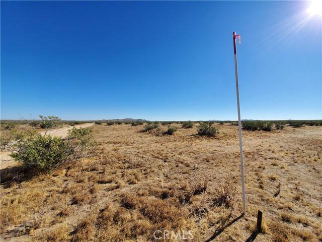 Lake Los Angeles, CA 93535,2 AC Ave L12