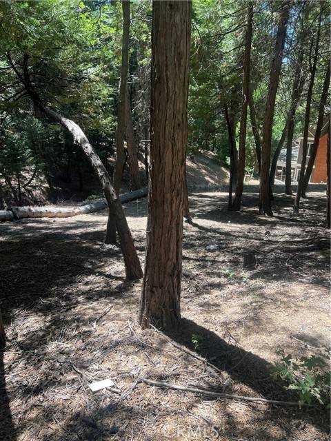 Lake Arrowhead, CA 92352,0 Cumberland DR