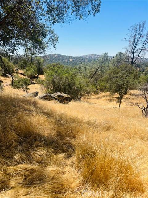 Coarsegold, CA 93614,0 Deep Forest DR