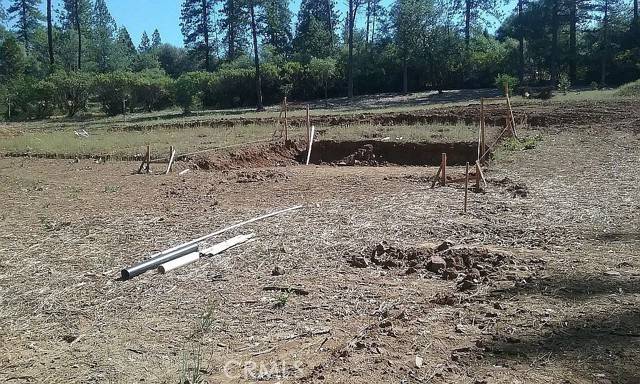 Grass Valley, CA 95949,13279 Thoroughbred LOOP