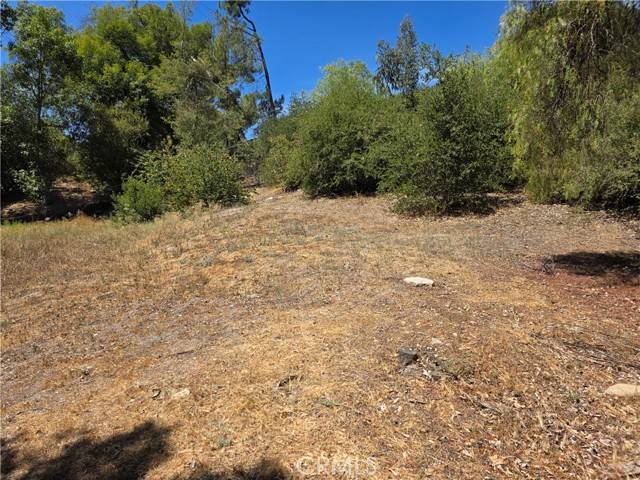 Topanga, CA 90290,23311 Valdez RD