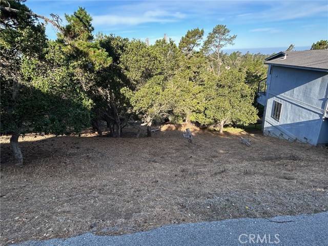 Cambria, CA 93428,0 Richard AVE