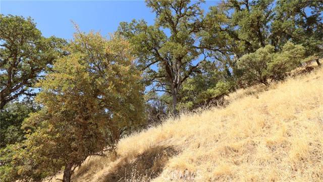 Lakeport, CA 95453,620 Park WAY