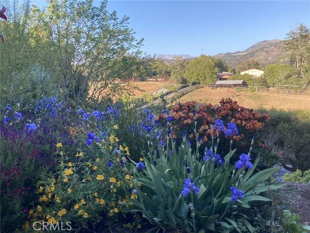 Oak View, CA 93022,240 Portal ST