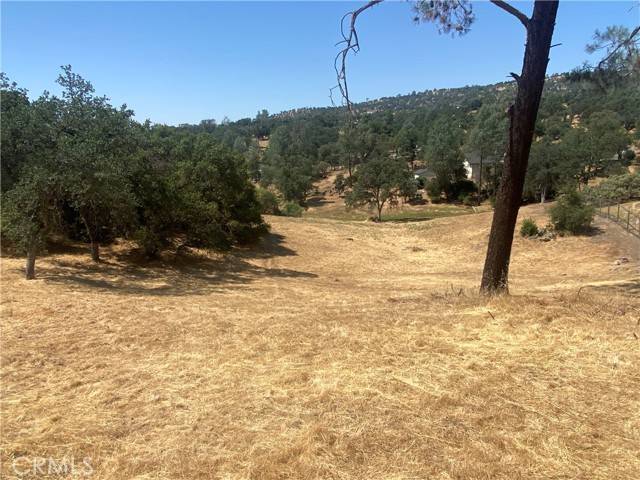 Coarsegold, CA 93614,17 Titan Way WAY